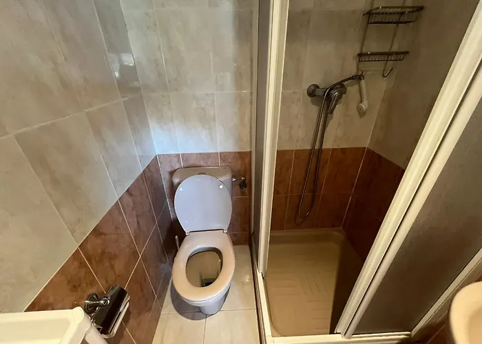 Service Lazaro - Topacio 3 -dos -46d *